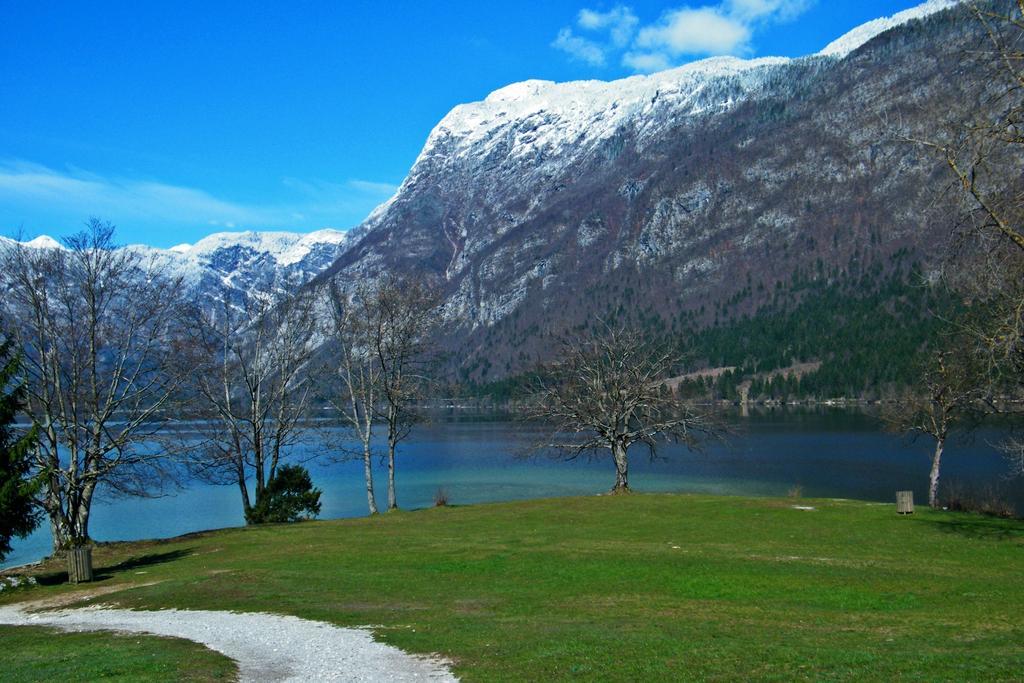 Guest House Alenka Bohinj Exteriör bild